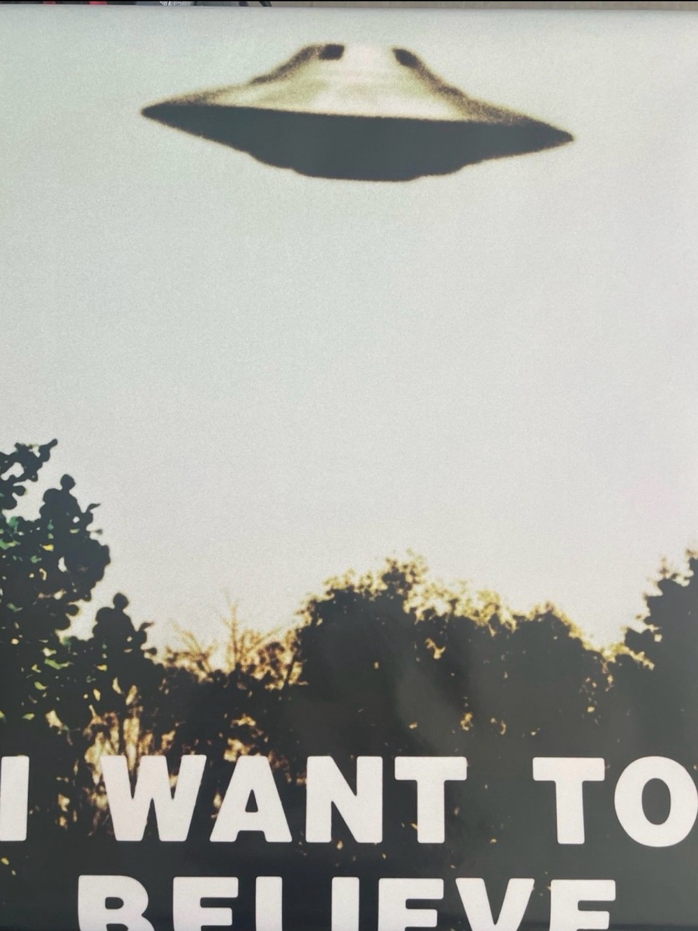 I Want to Believe UFO Poster - White and Black